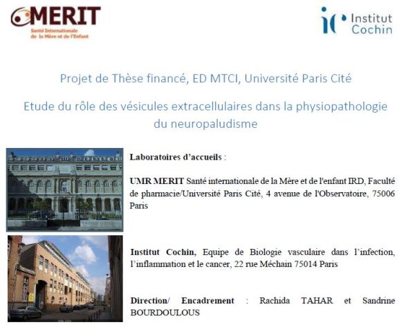 ACTUALITES SITE WEB