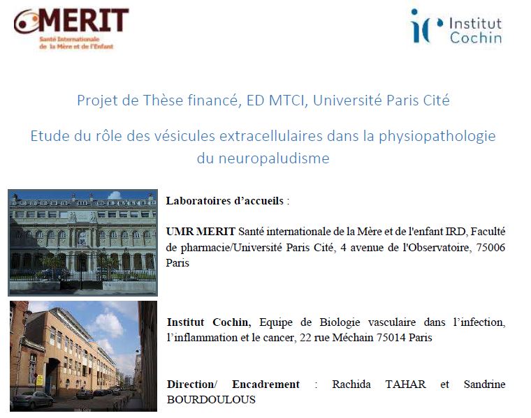 ACTUALITES SITE WEB ACTUALITES SITE WEB